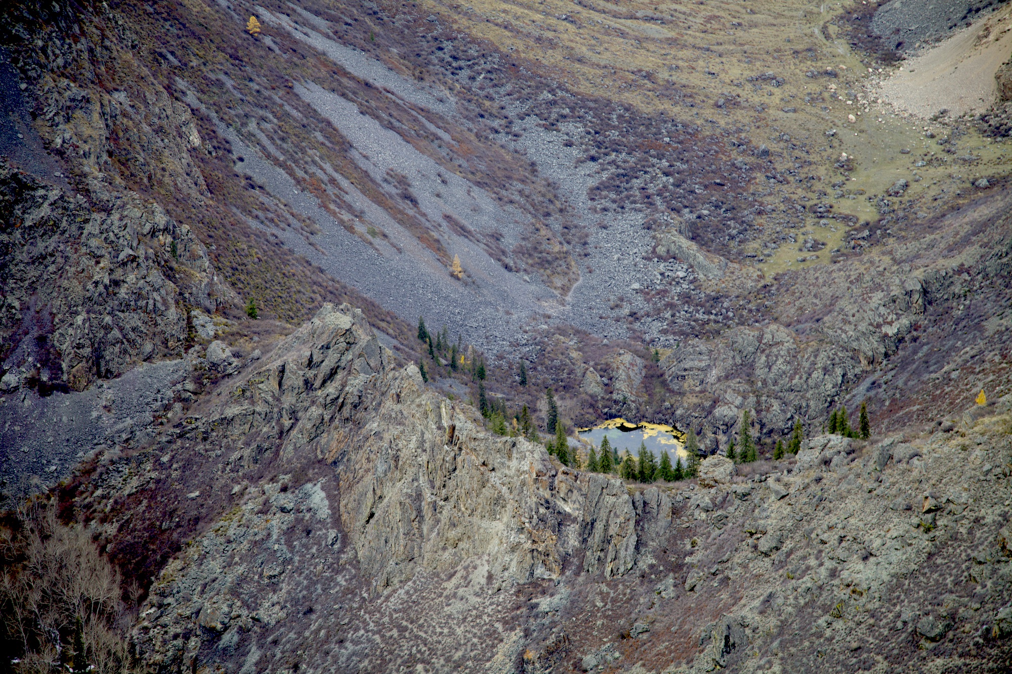 Путешествие к тайнам Горного Алтая (37/111)