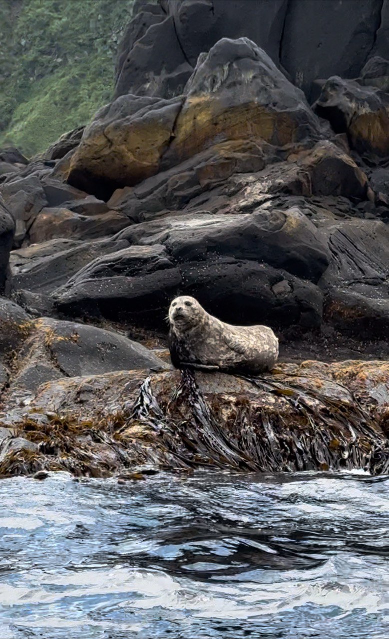 Сахалин+Итуруп 2025 (14/41)