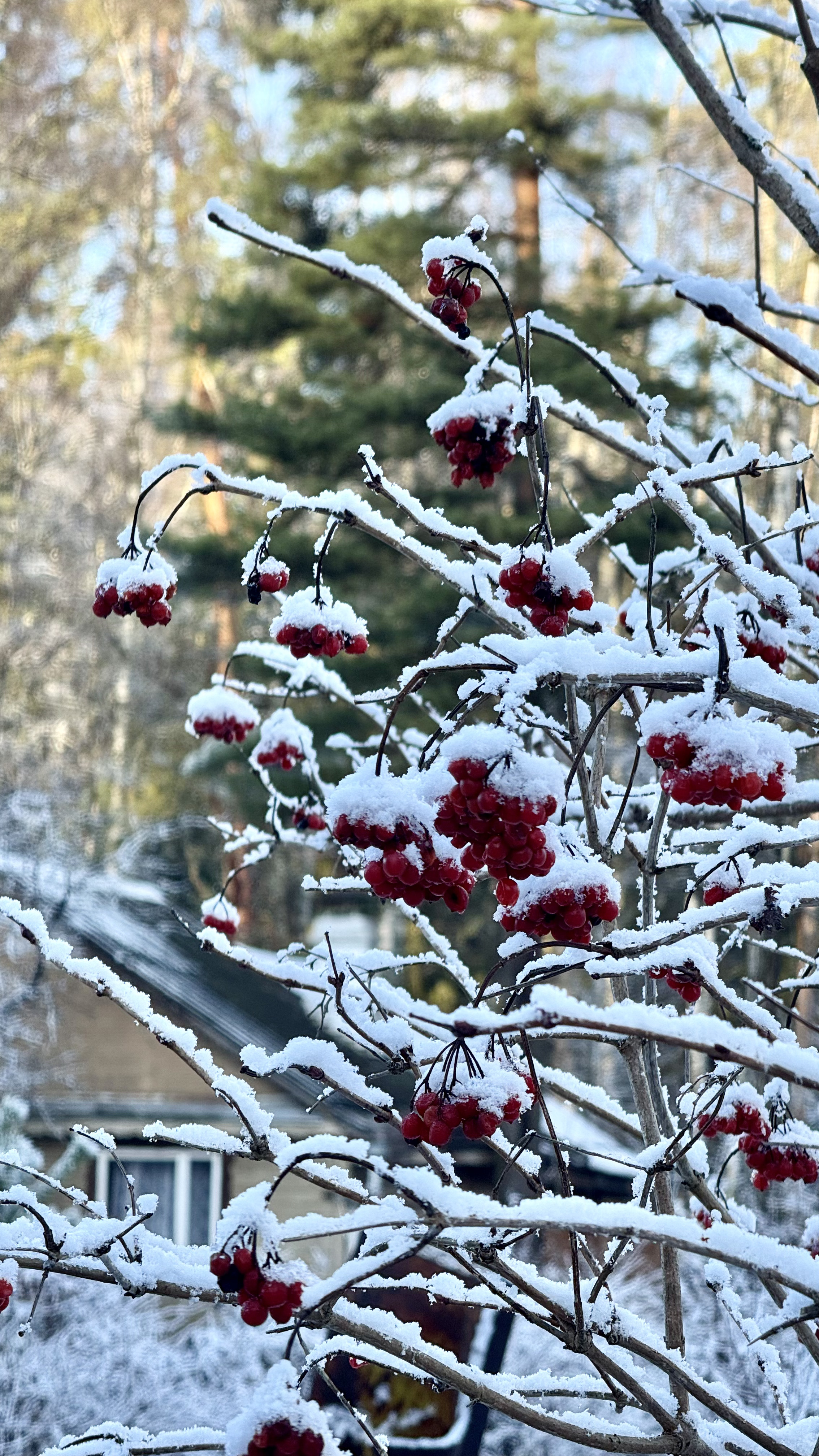 Поход К хорькам и соболям с биологом, Черноголовка (3/18)