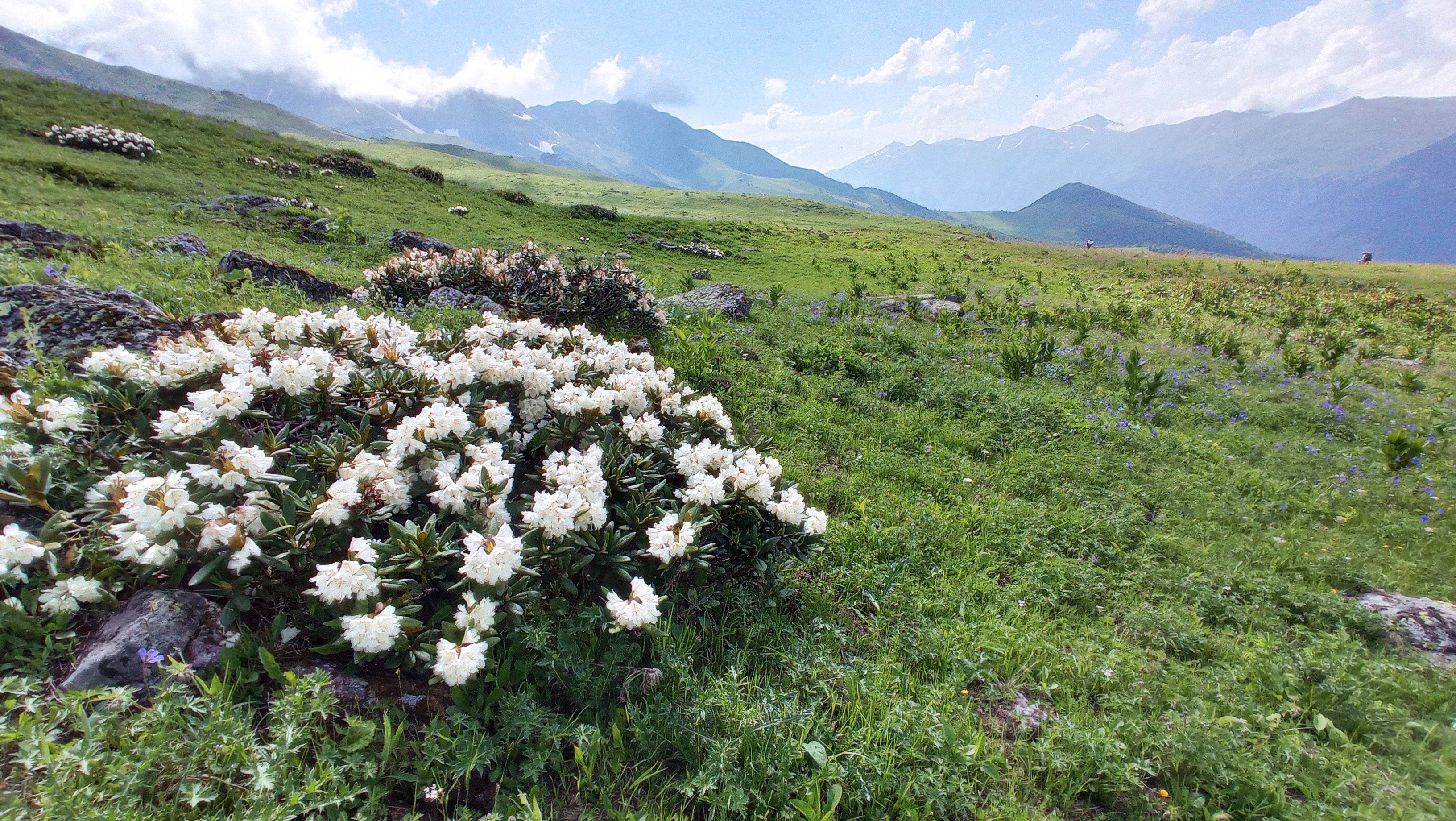 Канатная дорога