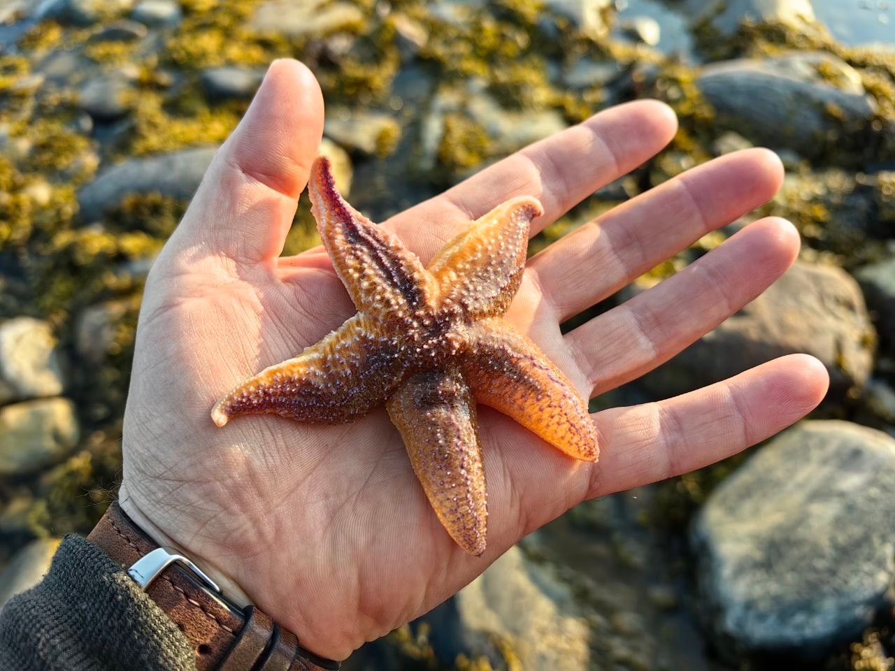 Аметистовый берег Арктики.  Все включено! (58/67)