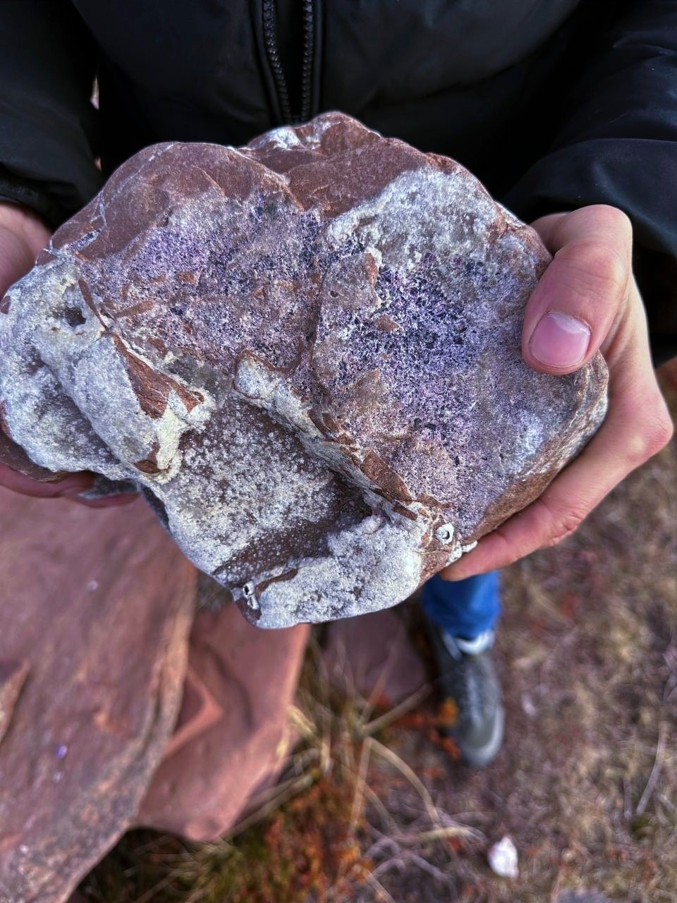 Аметистовый берег Арктики.  Все включено! (57/67)