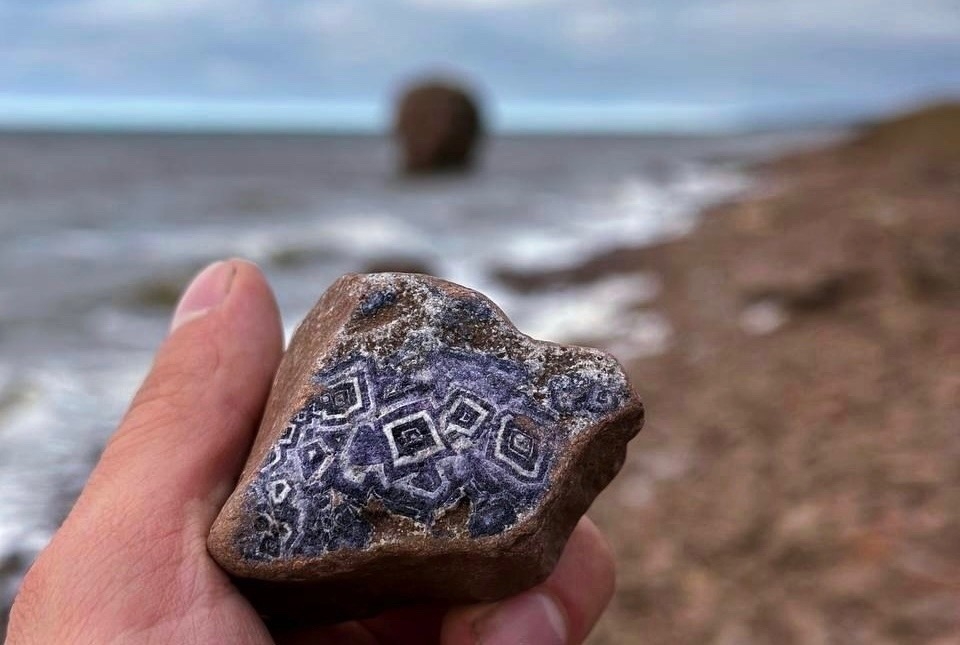 Аметистовый берег Арктики.  Все включено! (64/67)