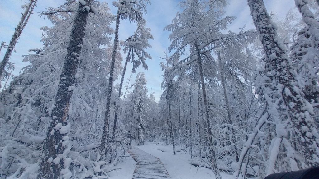 Зимние Ленские столбы (9/9)