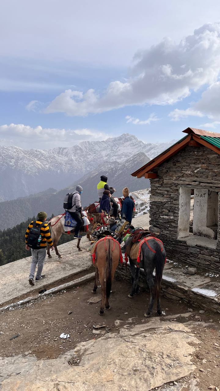 Йога-тур в Ришикеш Истоки мудрости (20/52)