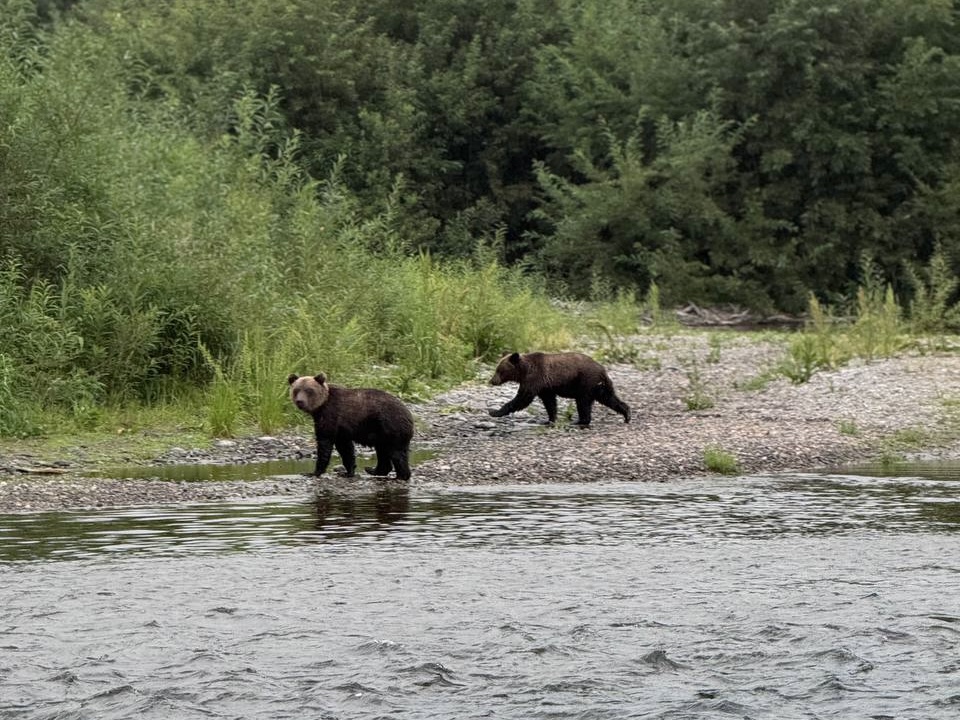 Рыбалка на реке Быстрой