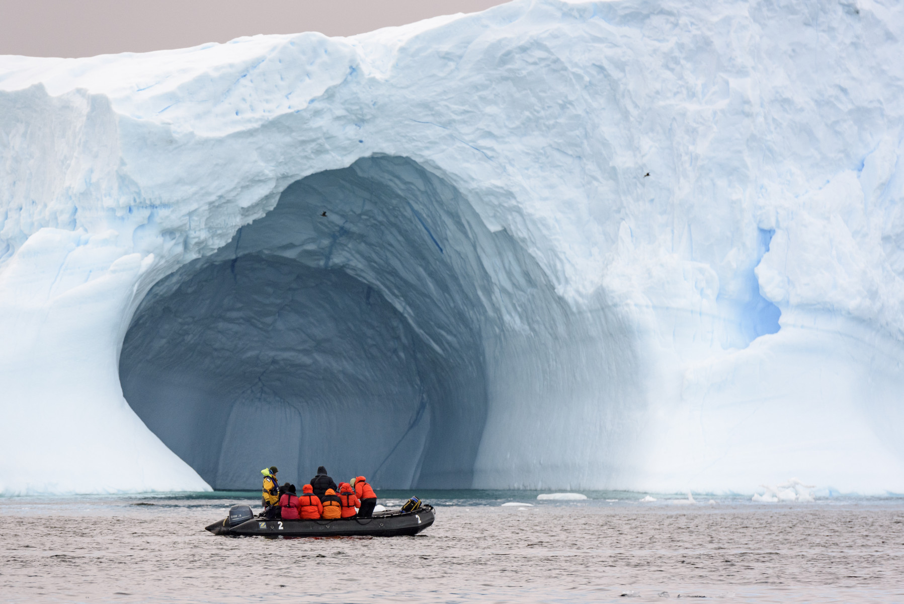 Круиз с русской группой: Новый год в Антарктиде на мега-яхте Scenic Eclipse 1 (5/45)