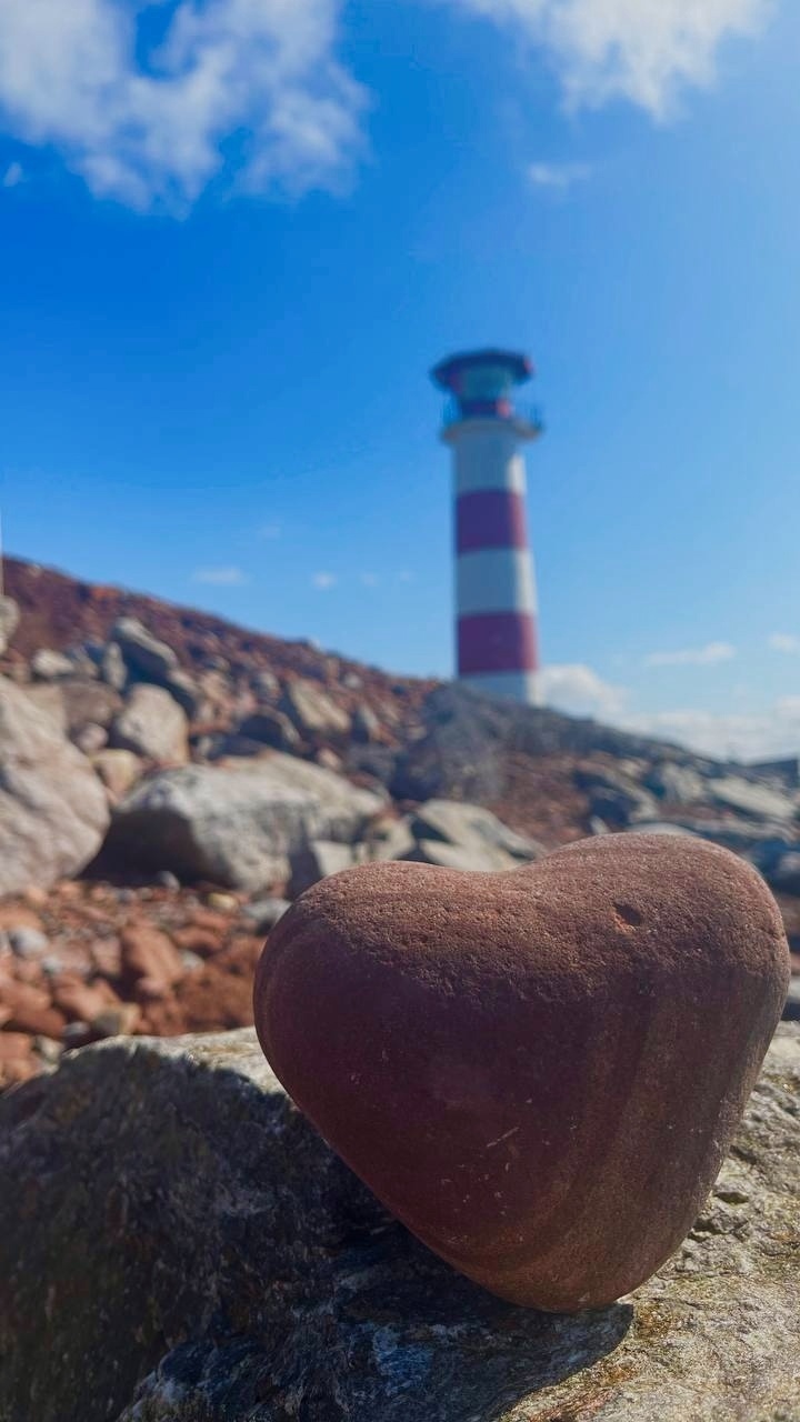 Аметистовый берег Арктики.  Все включено! (50/67)