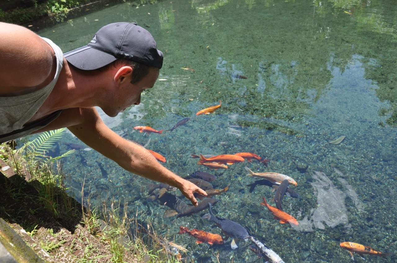 Сингапур-Бали: Гармония современности и экзотики.