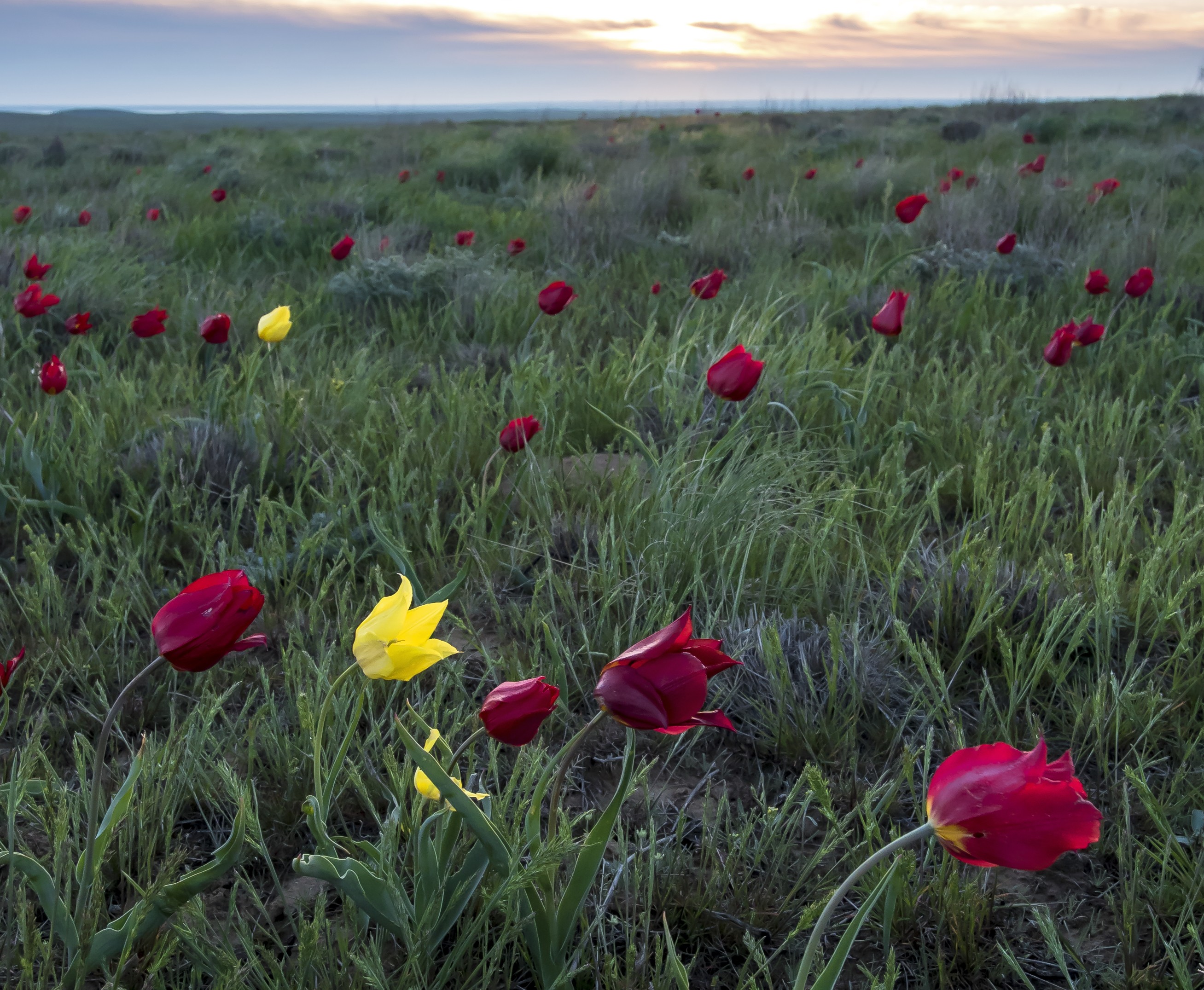 Путешествие на гору Богдо и соленое озеро Баскунчак. (7/19)