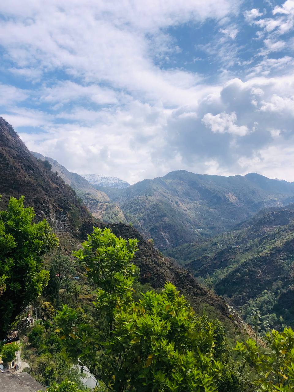 Йога-тур в Ришикеш Истоки мудрости (30/52)