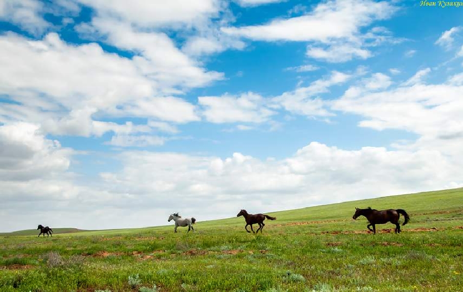 Путешествие на гору Богдо и соленое озеро Баскунчак. (3/19)