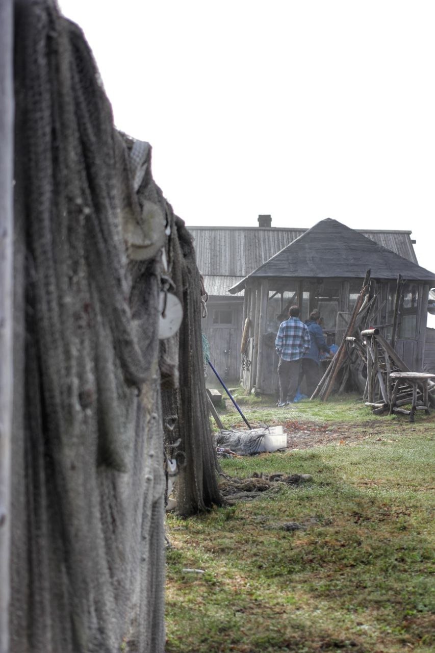 Аметистовый берег Арктики.  Все включено! (63/67)