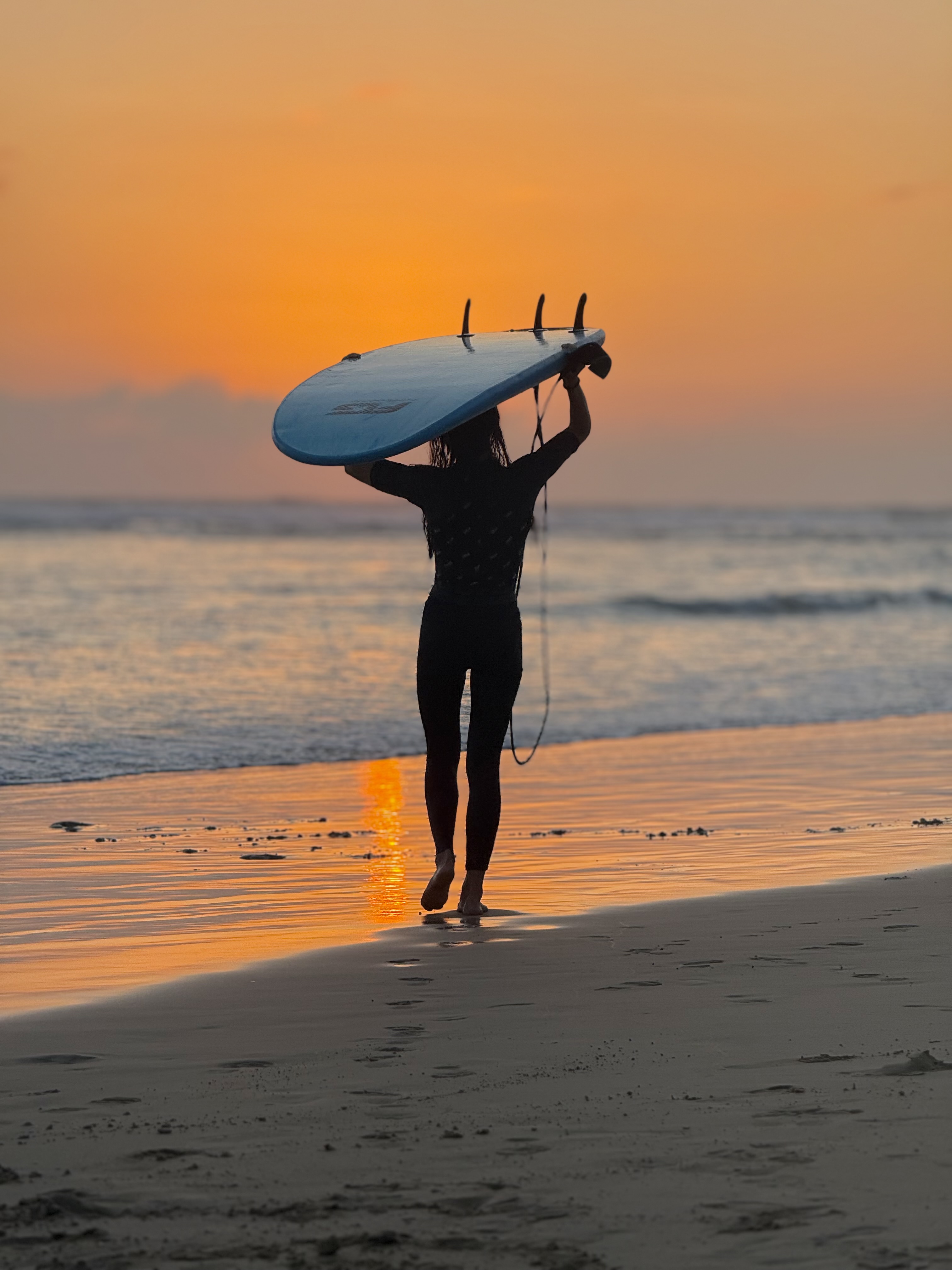 Шри-Ланка на максимум: от джунглей до океанских волн (64/100)