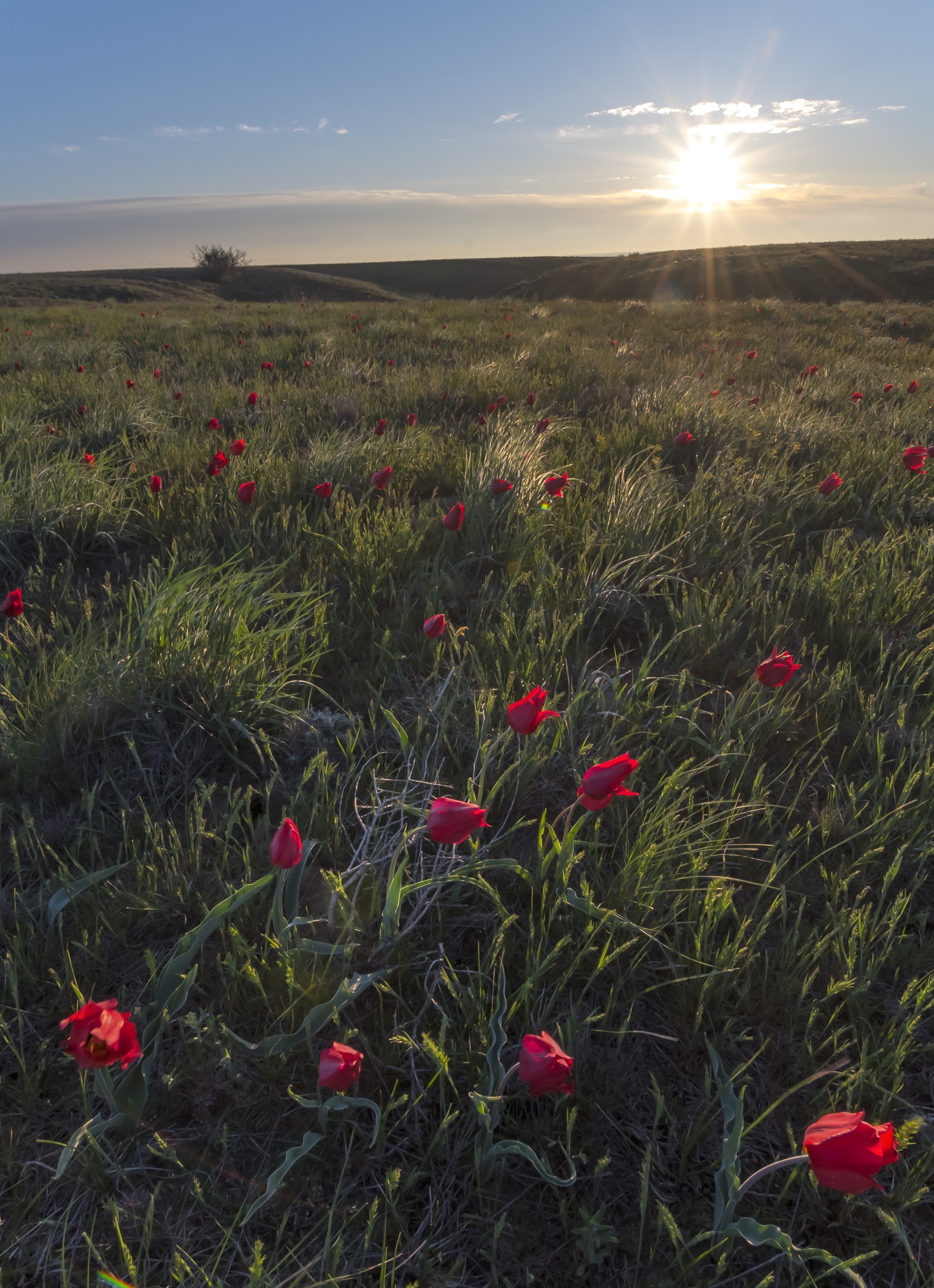 Путешествие на гору Богдо и соленое озеро Баскунчак. (6/19)