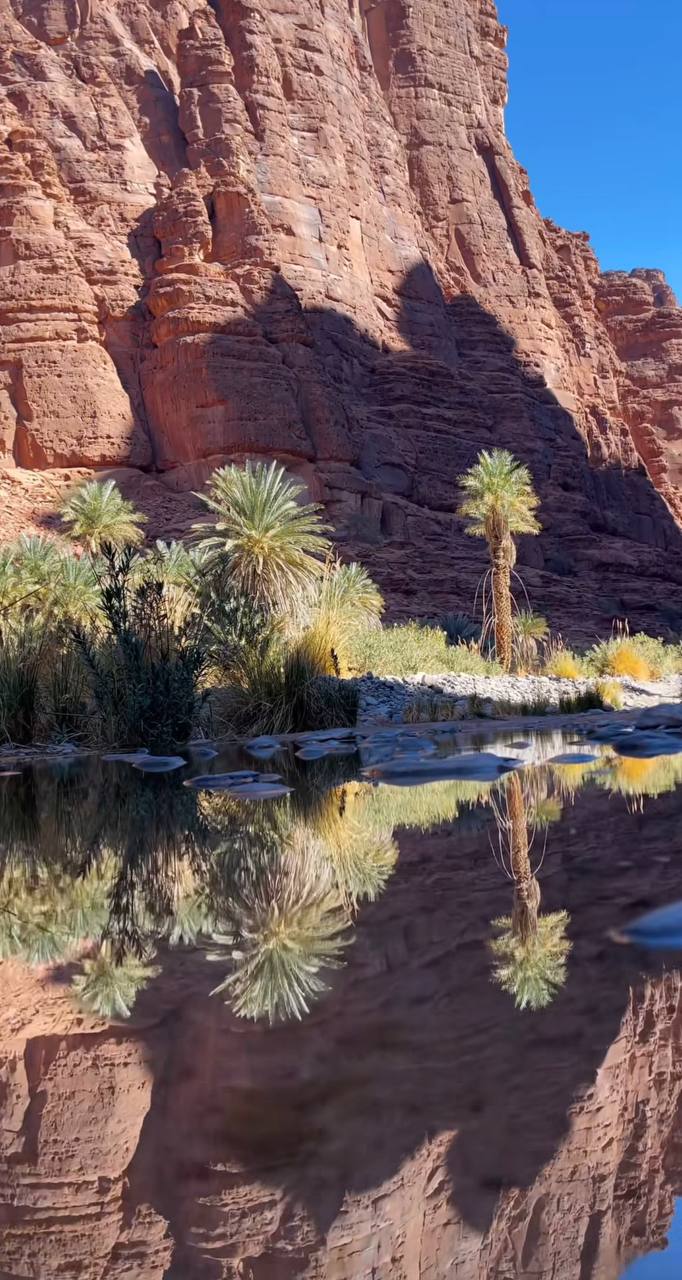 Священный Рамадан: Эксклюзив Саудовской Аравии. (89/125)