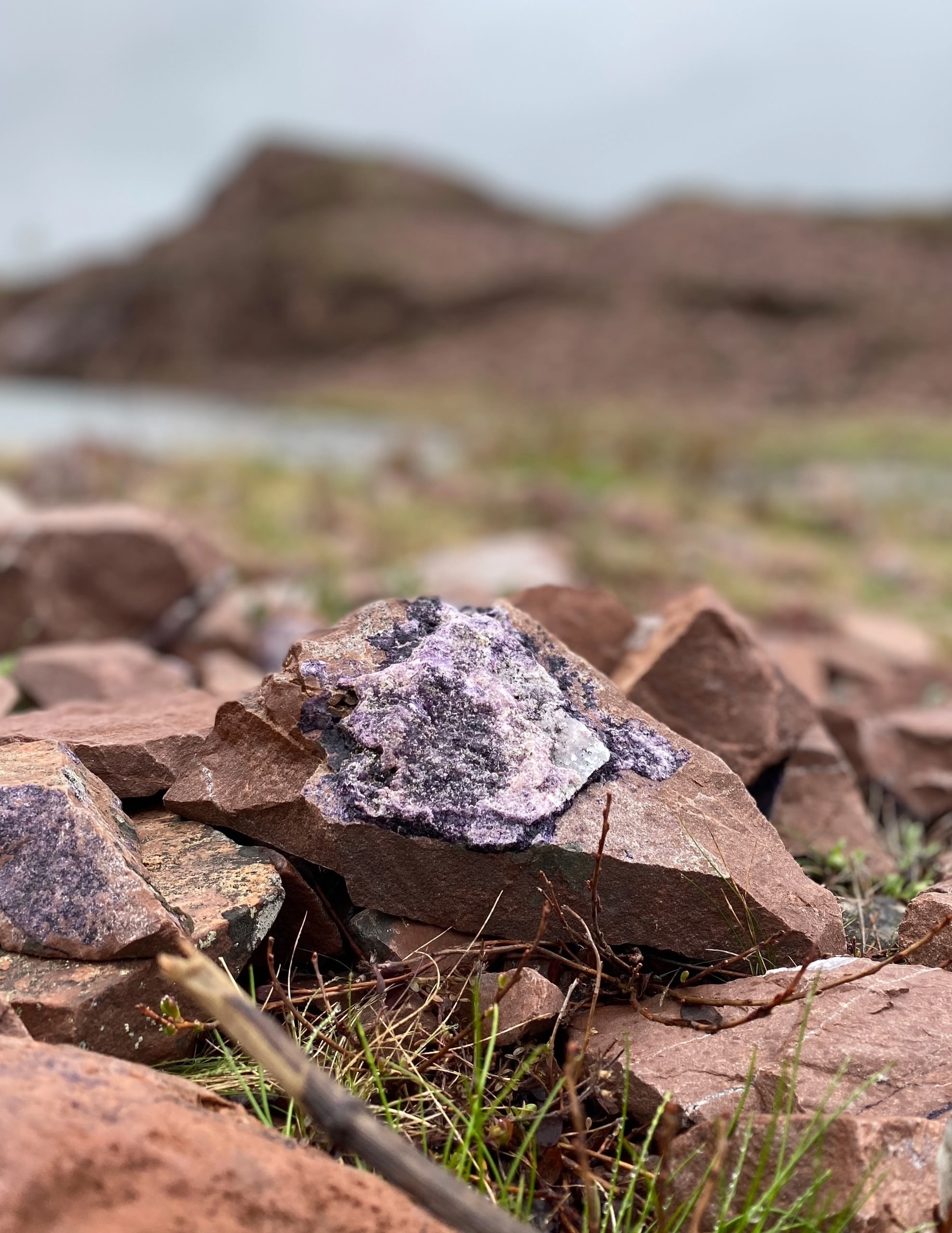 Аметистовый берег Арктики.  Все включено! (65/67)