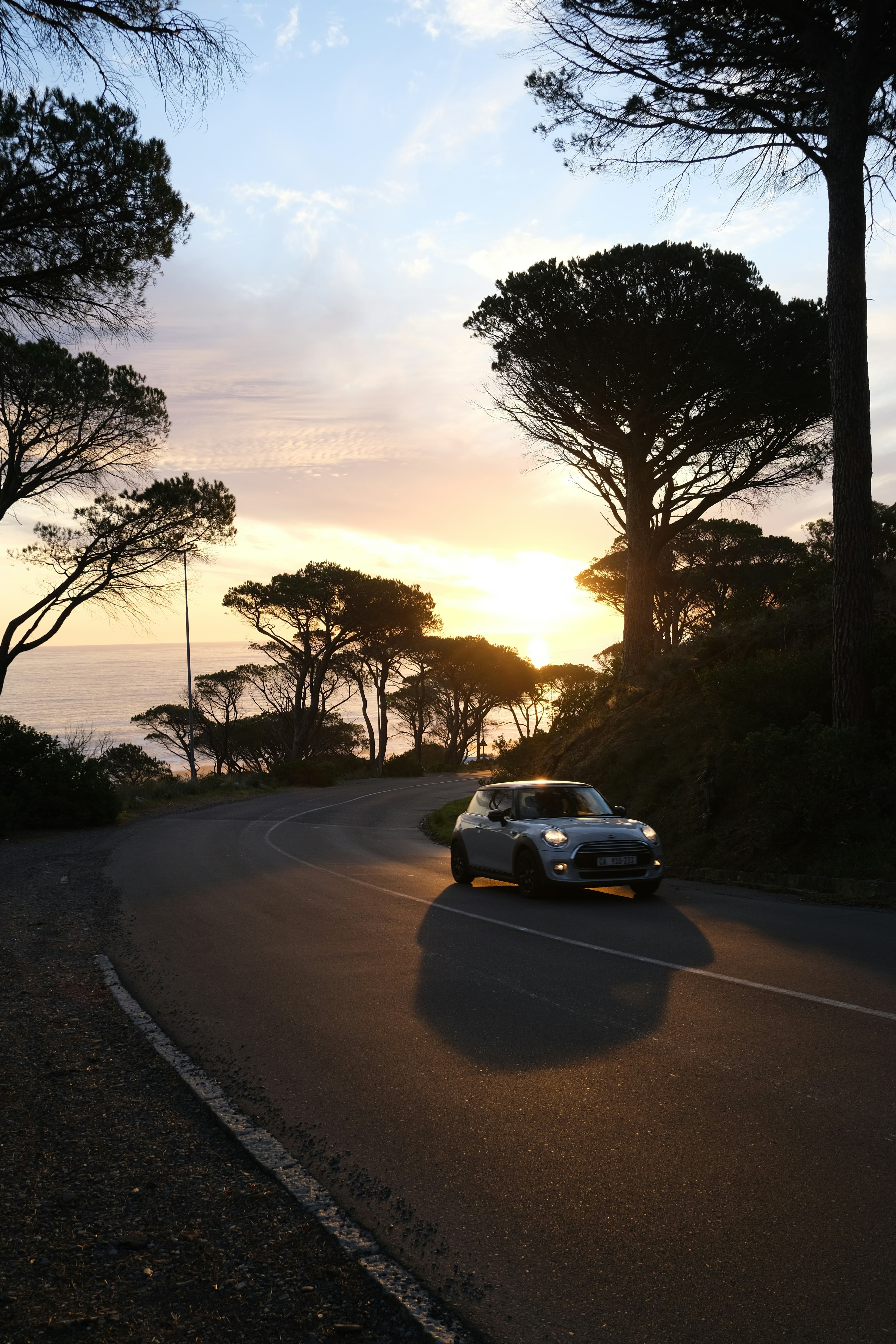 Юар - знакомство с Африкой, которое запомнится навсегда (24/59)