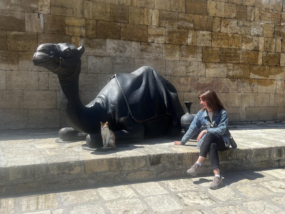 Пляжный Тур В Дагестан - 8 дней (24/28)