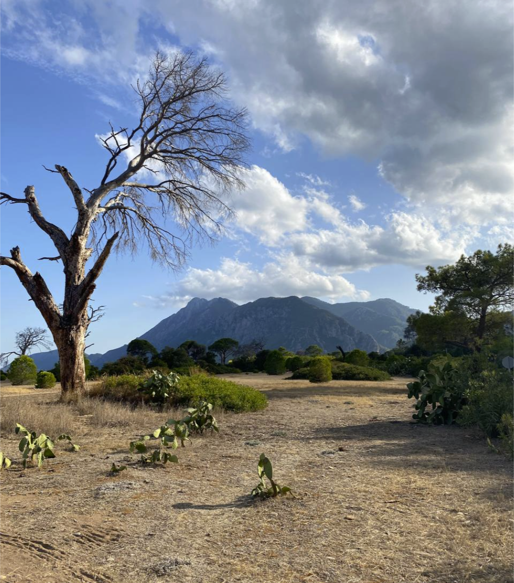 Ликийская тропа через горы к морю Все включено налегке (39/60)
