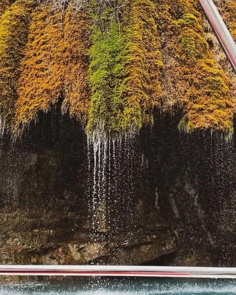 Отдых по-Кавказски  3 Дня все включено (37/67)