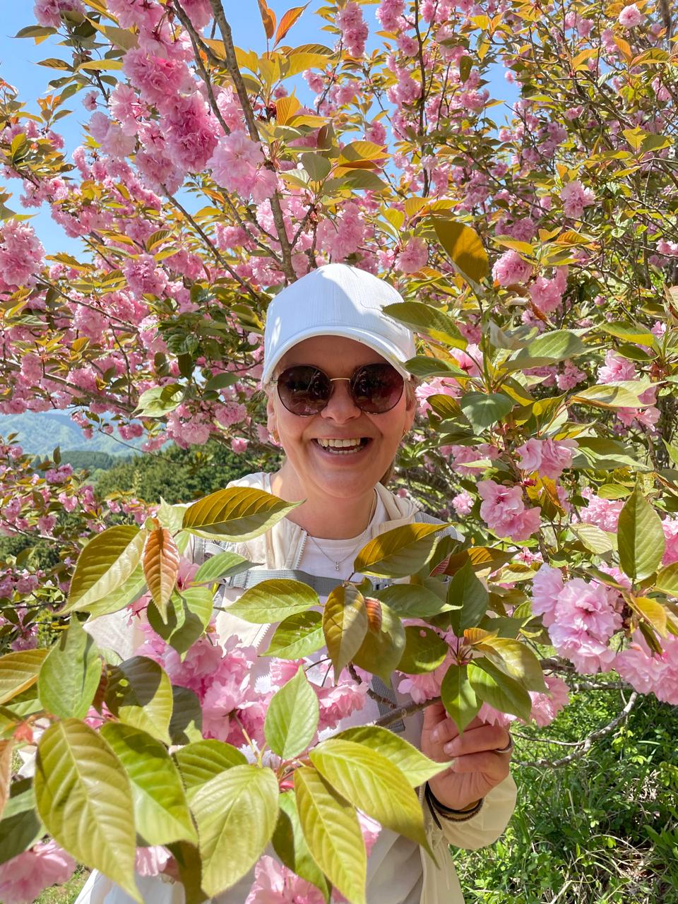 Япония : вечно прекрасная сакура 2025