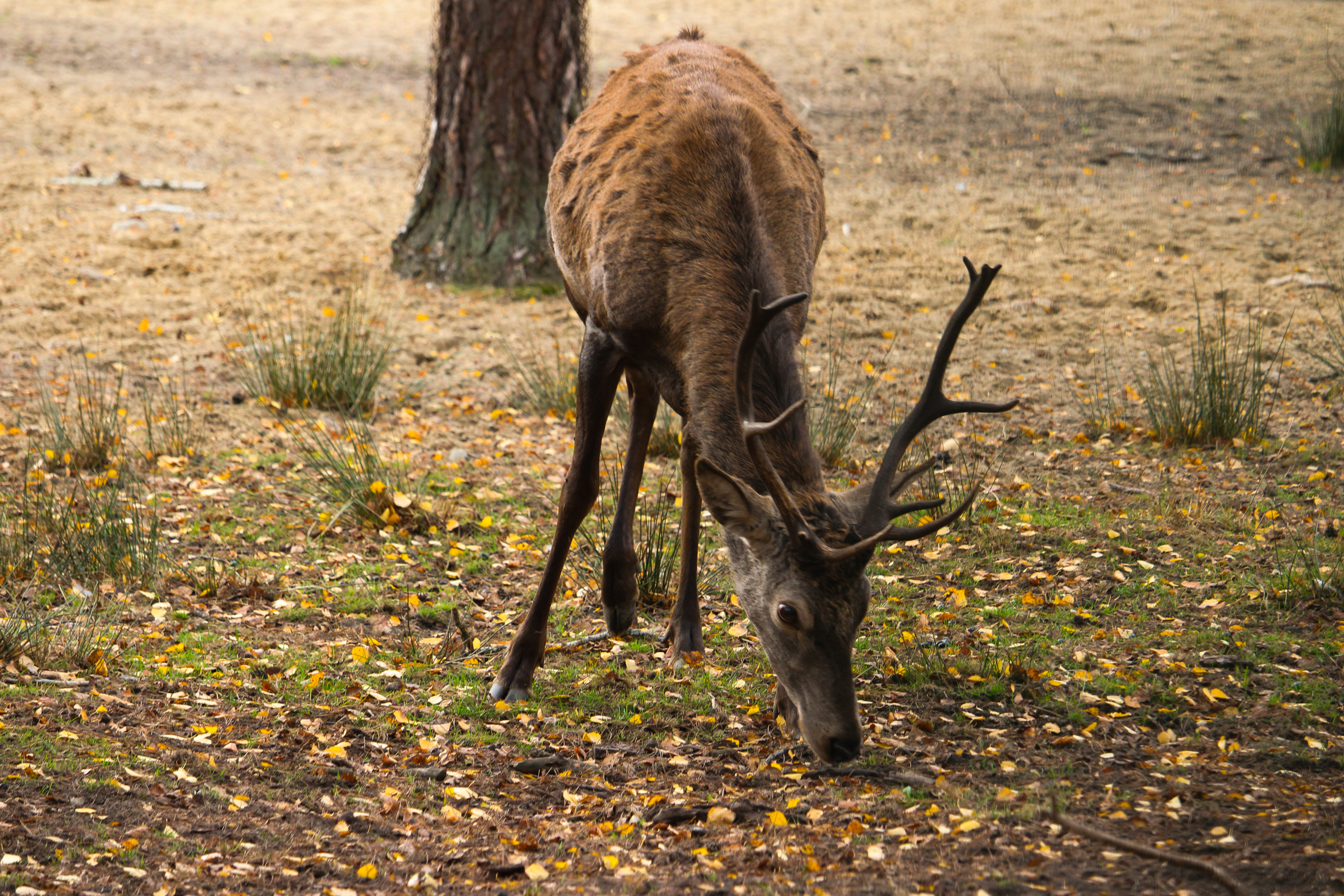 Обзорный тур по Беларуси! (9/71)