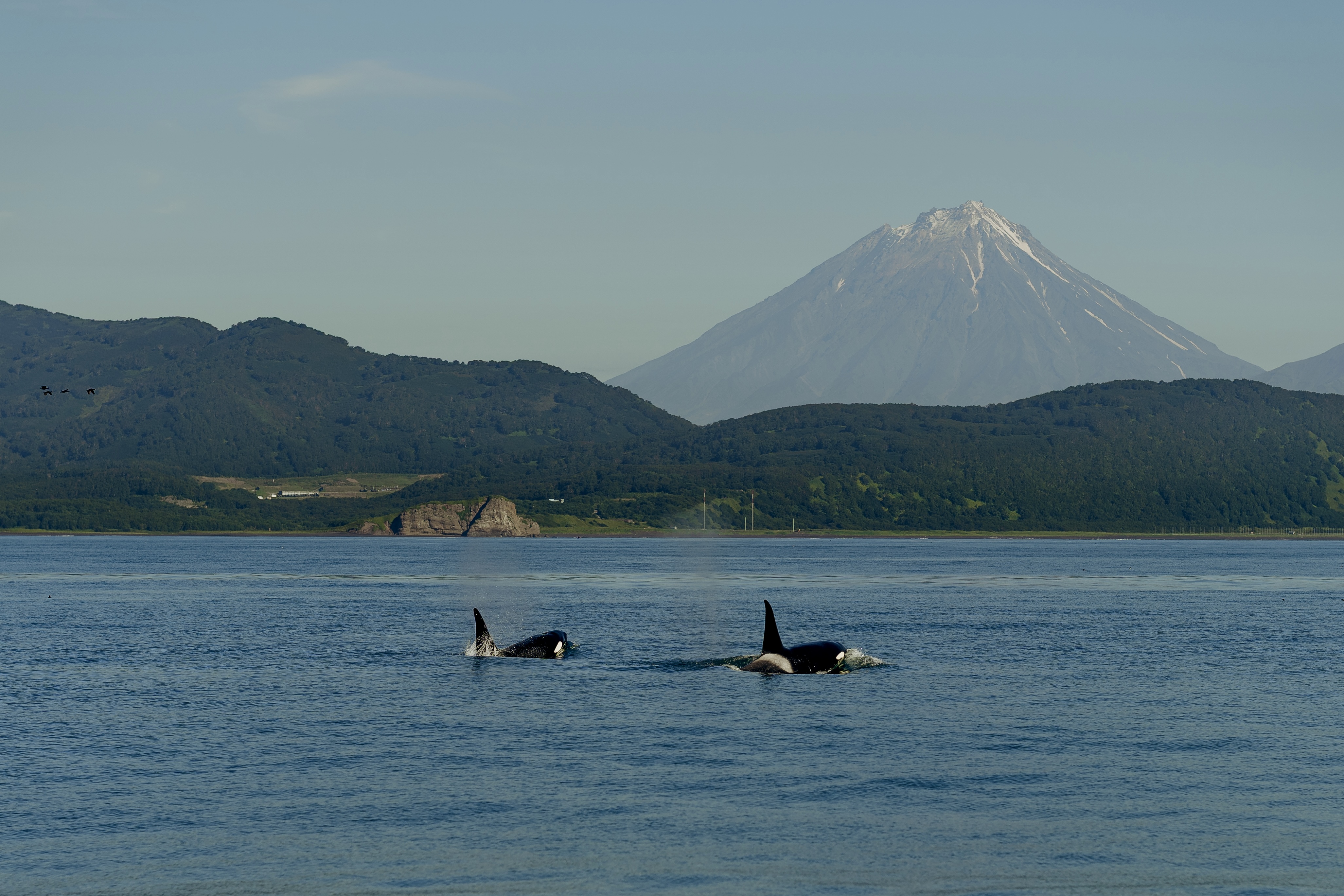 Вулканы, киты, океан: исследуем Камчатку налегке (4/24)