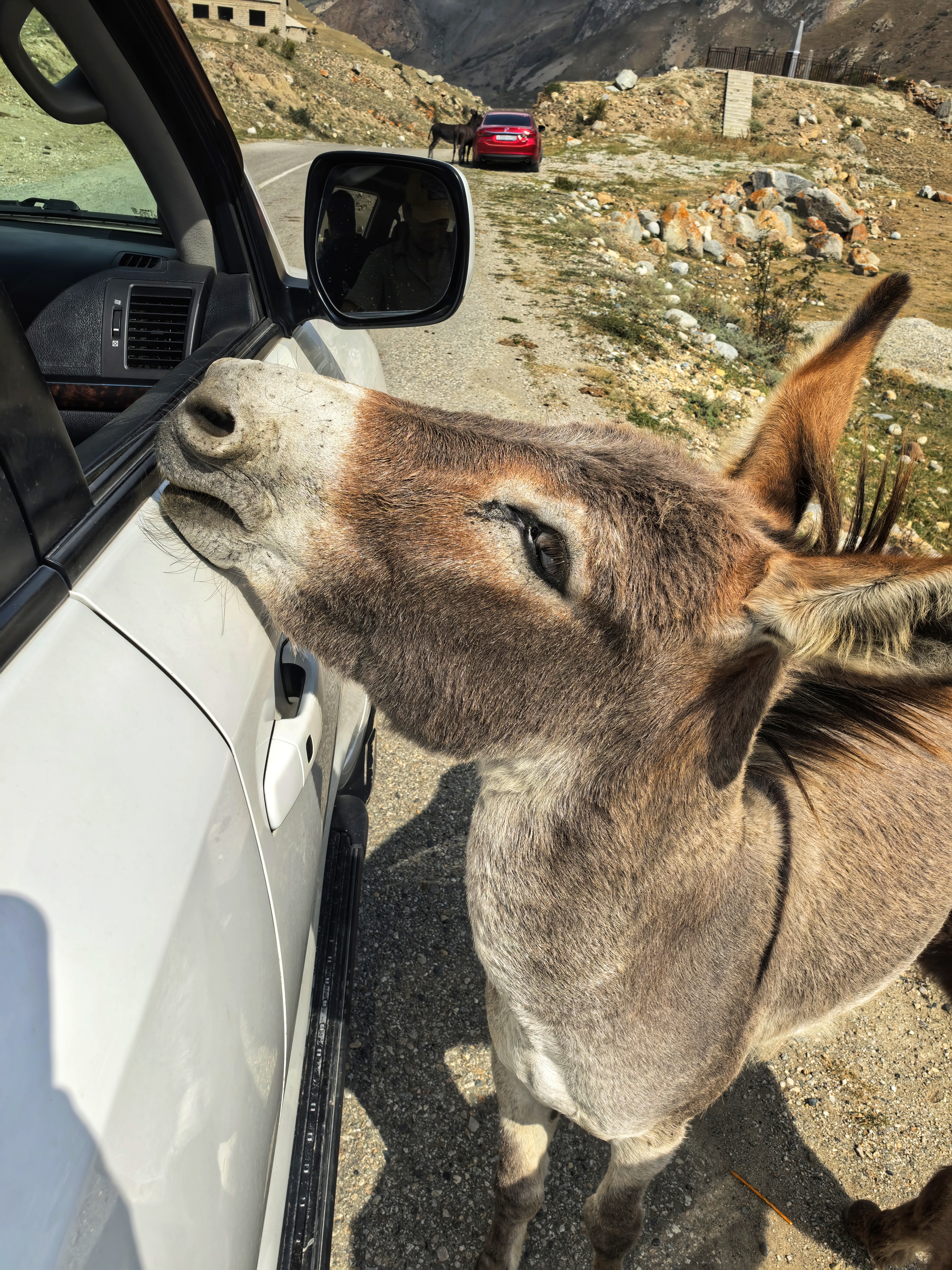 Авторский тур Чудеса Кавказа - 8 марта в Приэльбрусье! (3/73)