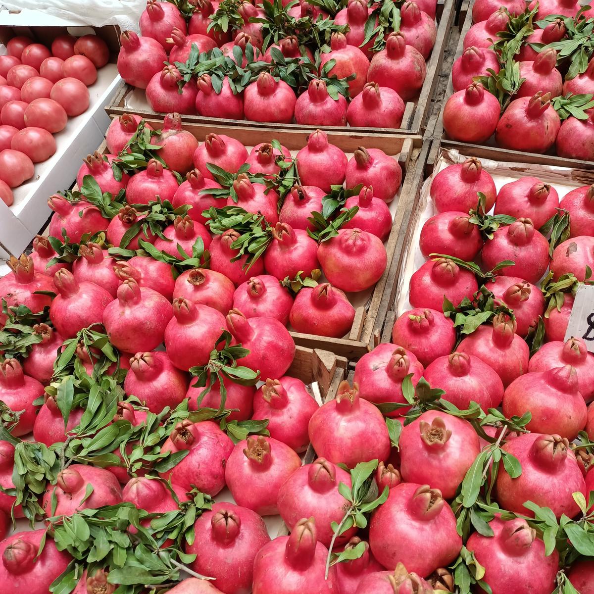 Молодежный тур в Дагестан All Inclusive и даже Больше (32/161)