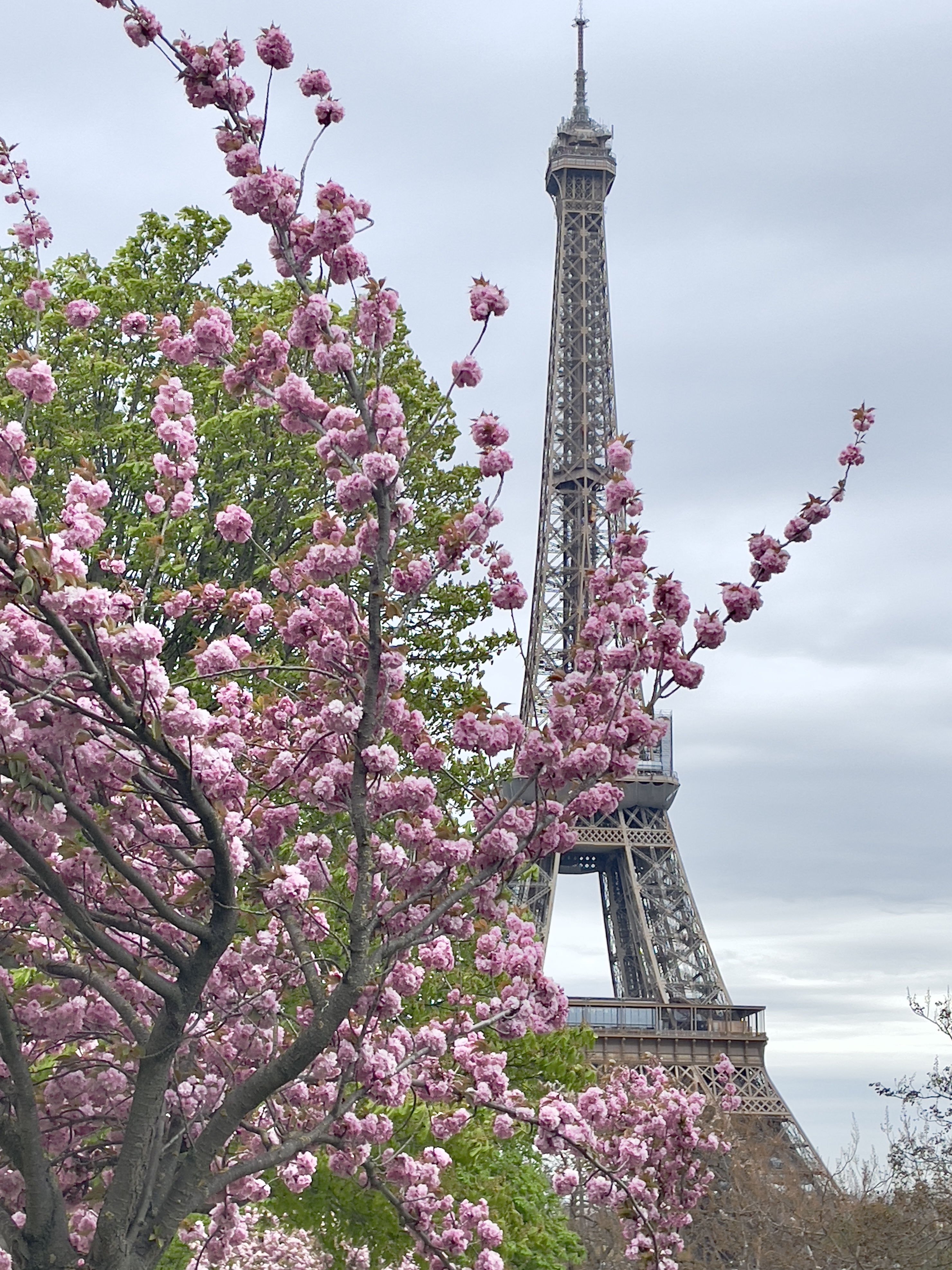 Франция. Путешествие от Парижа до Нормандии. (3/17)