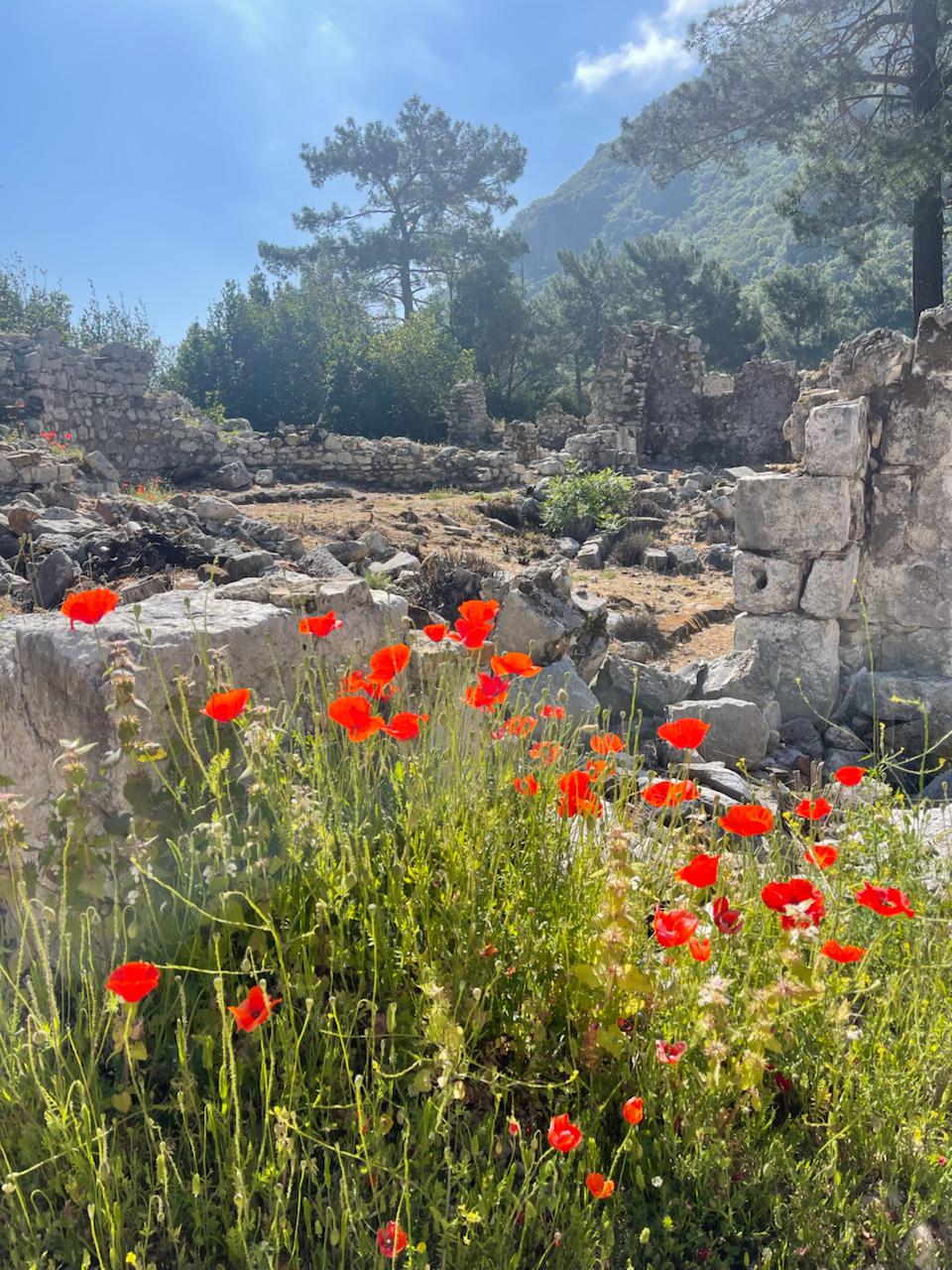 Ликийская тропа через горы к морю Все включено налегке (37/60)