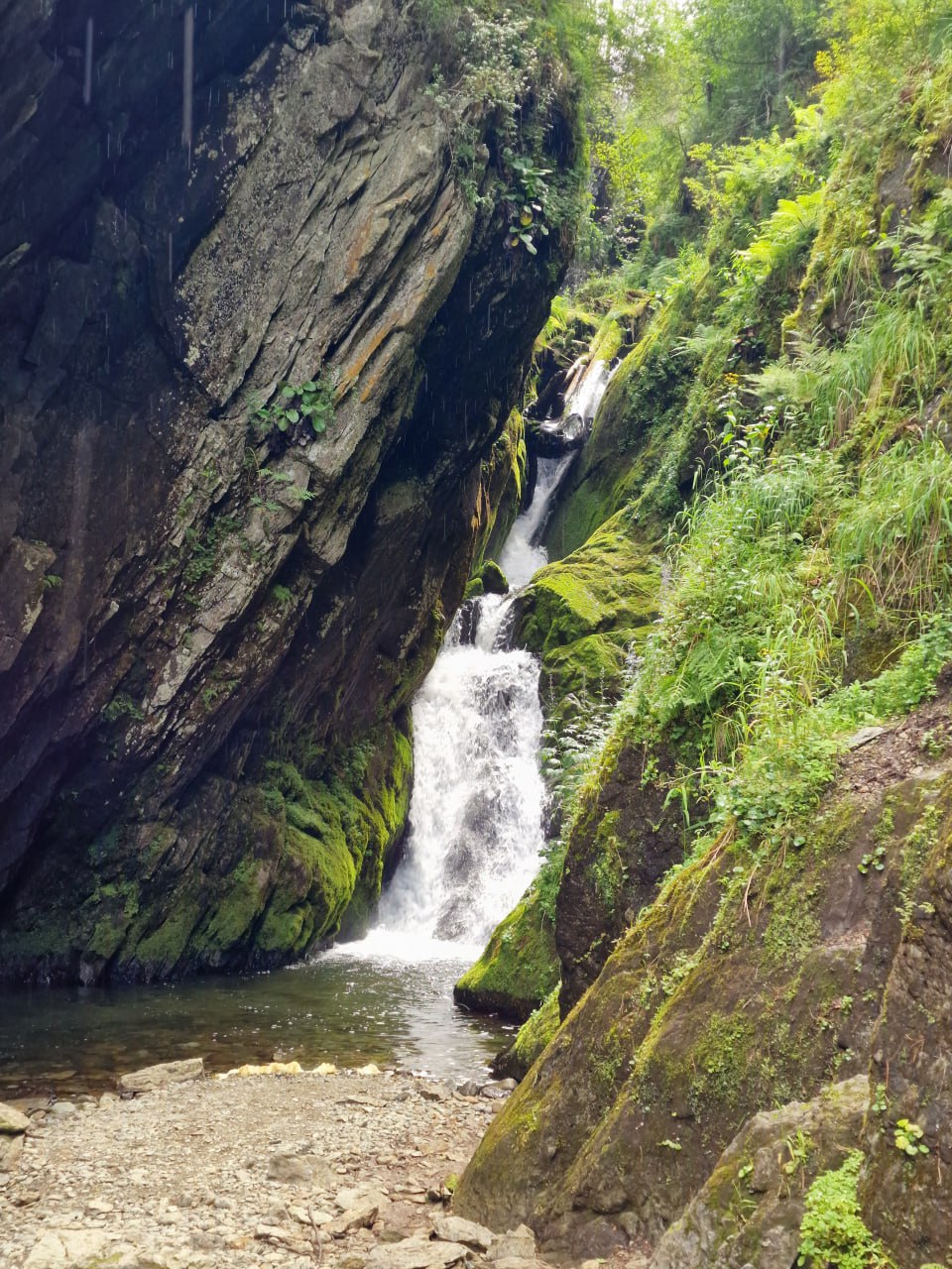 Алтай. Земля Духов И Величия Гор (19/43)