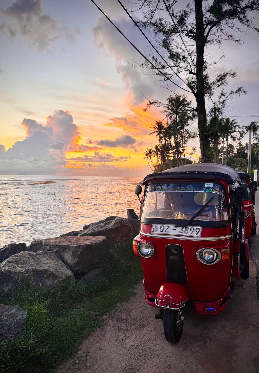 Йога серф тур на Шри Ланку в феврале (31/32)