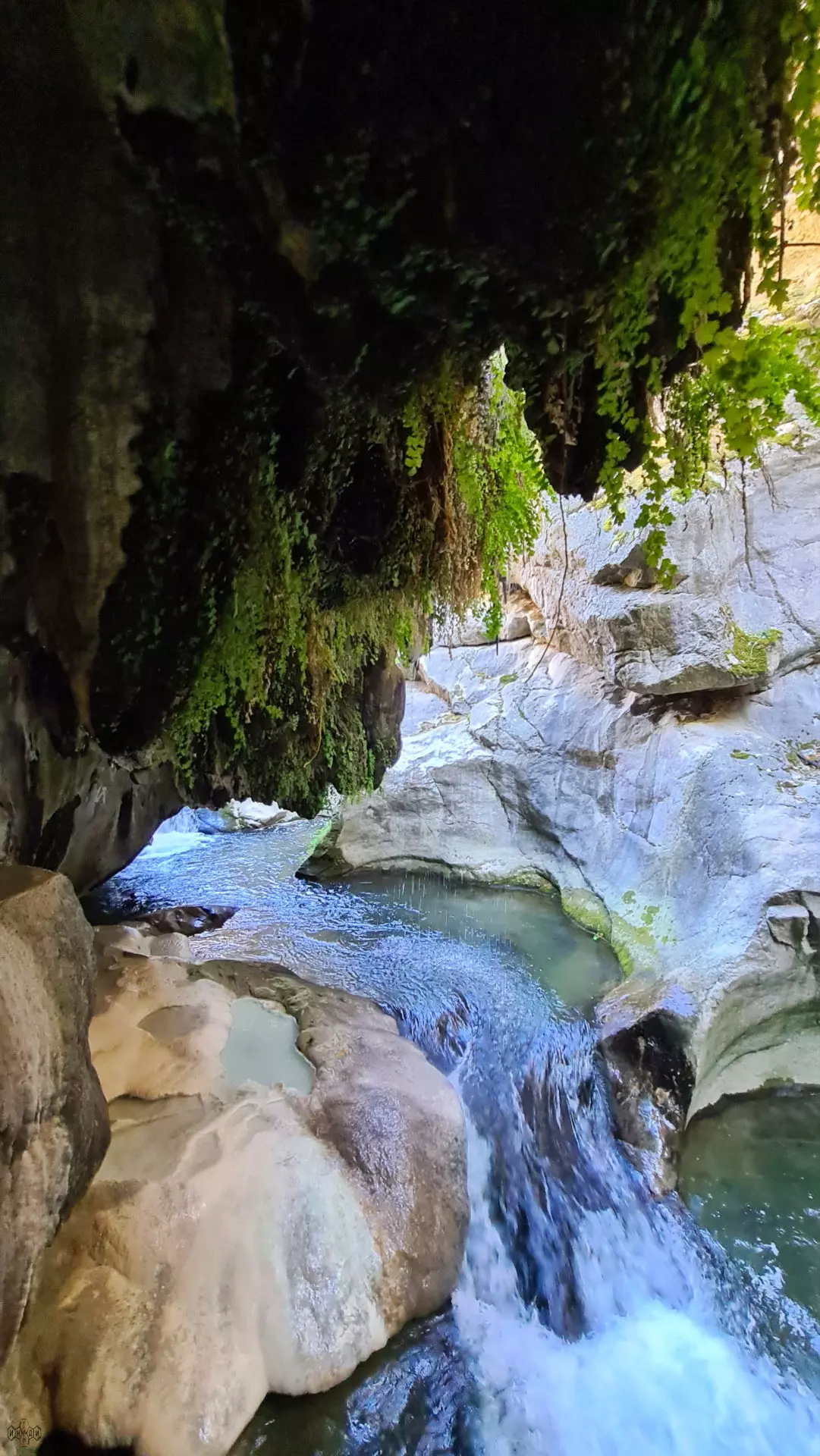 Ласковая Армения (56/136)