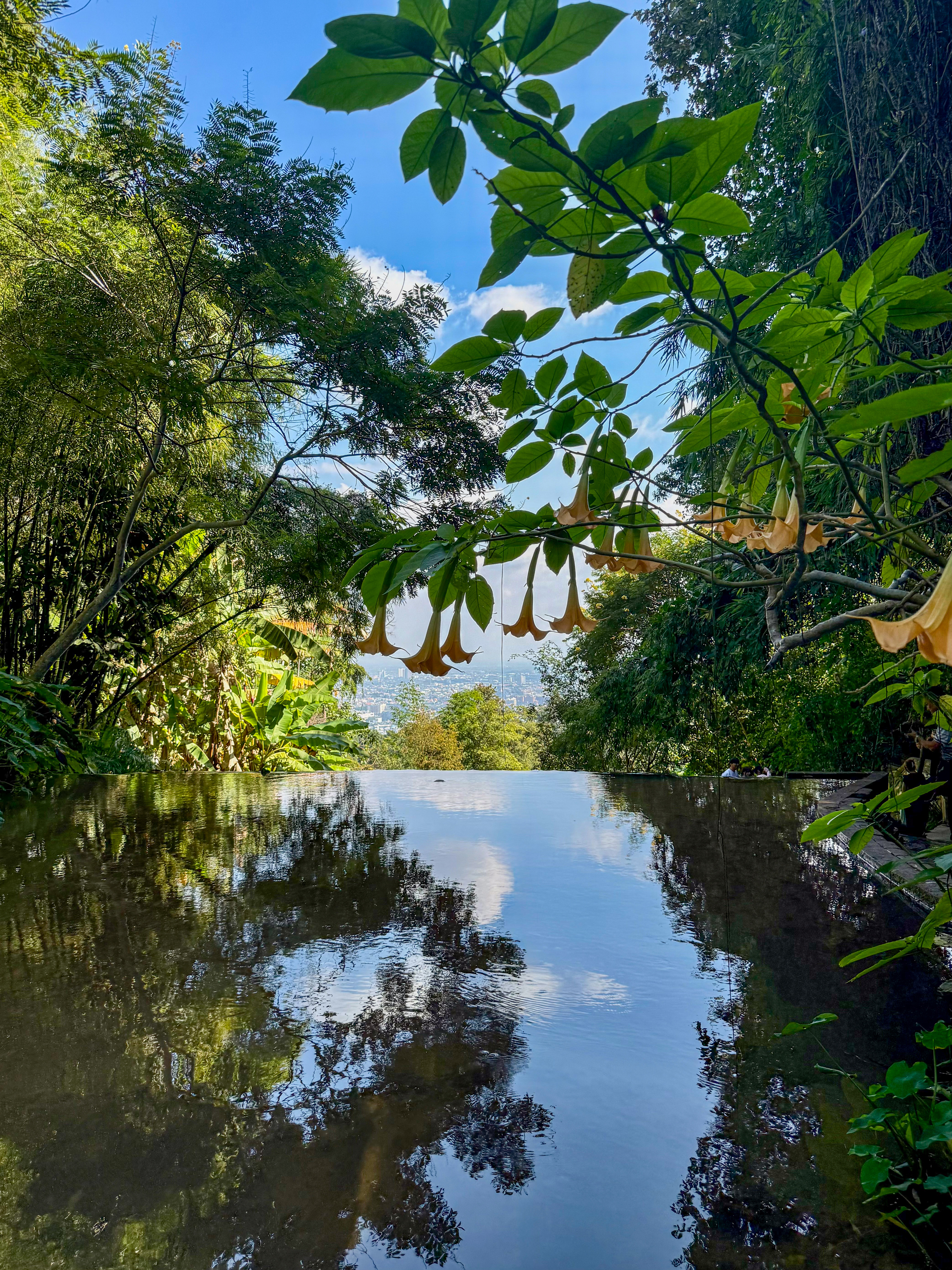 Таиланд: Север - иное измерение (7/58)