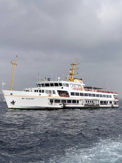 Тур в Стамбул: незабываемые впечатления (19/19)