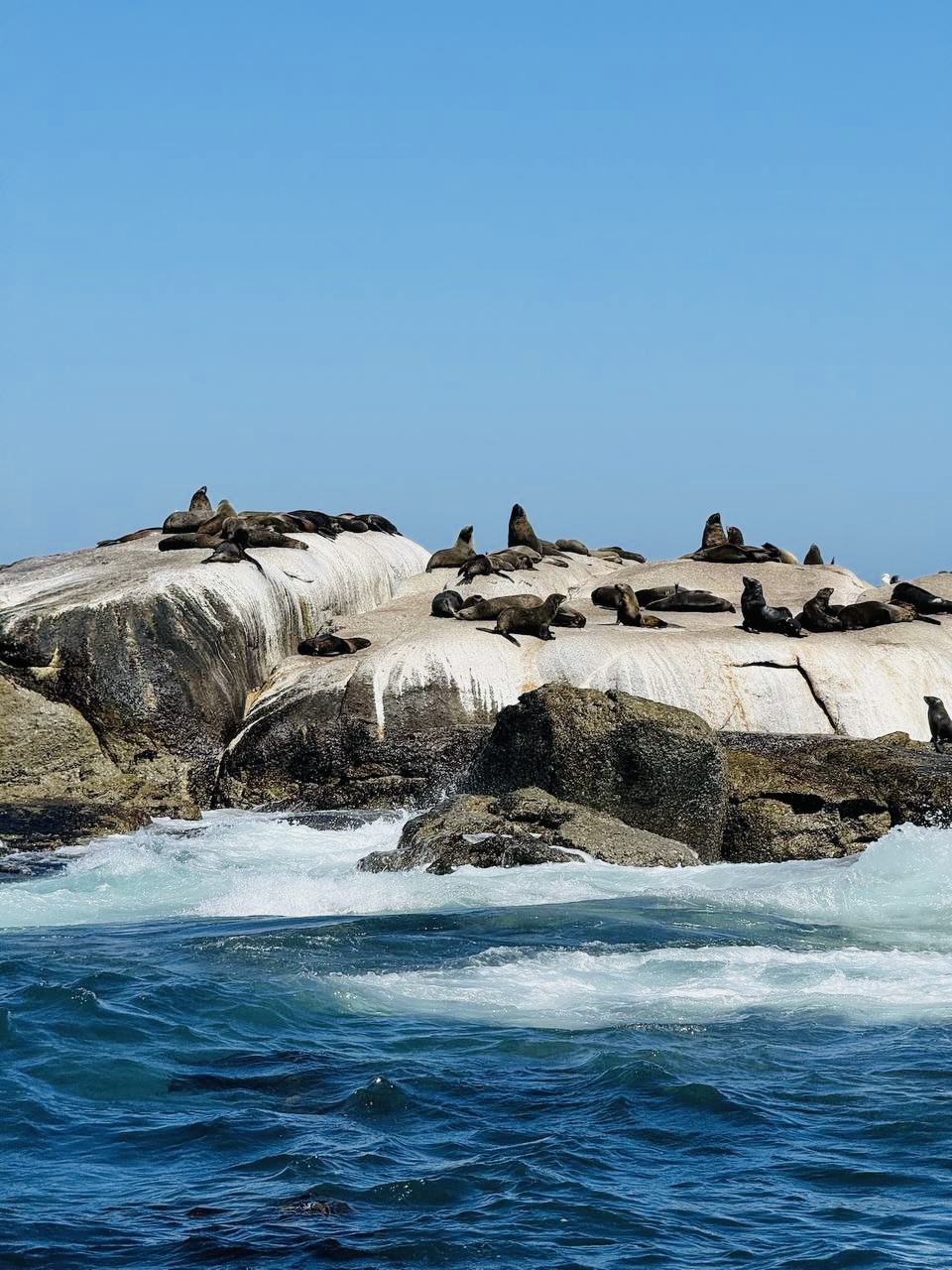 Юар. Кейптаун