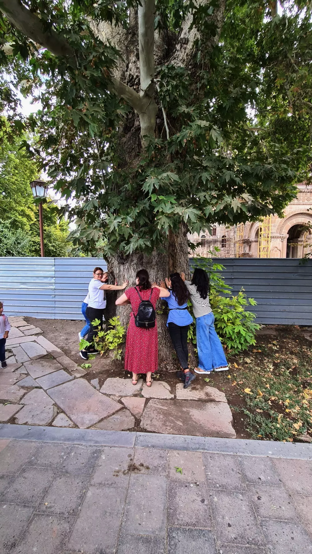 Ласковая Армения (7/136)