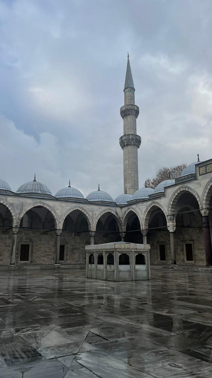 Тур в Стамбул: незабываемые впечатления (6/19)