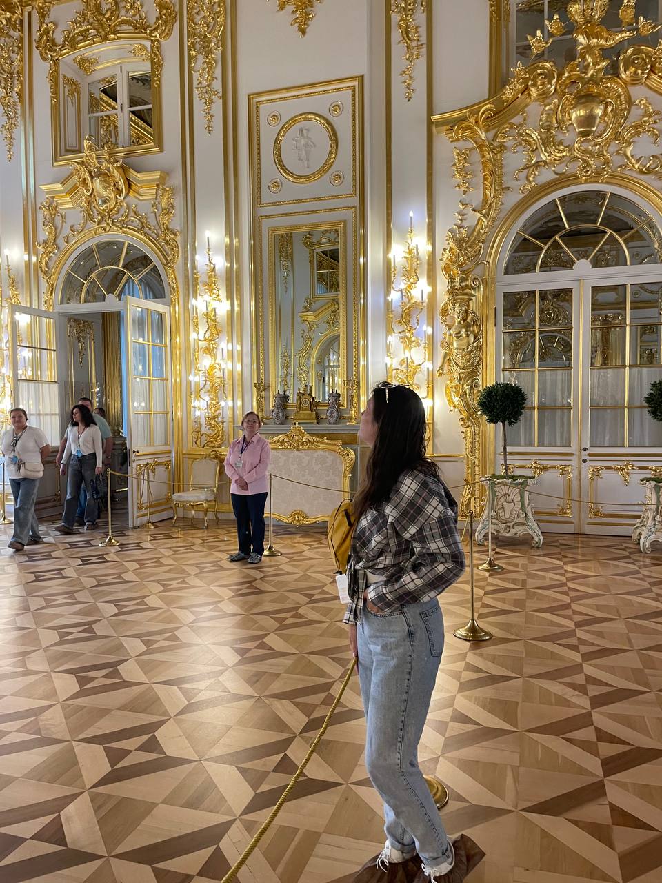 Путешествие по культурному наследию Санкт-Петербурга (14/17)