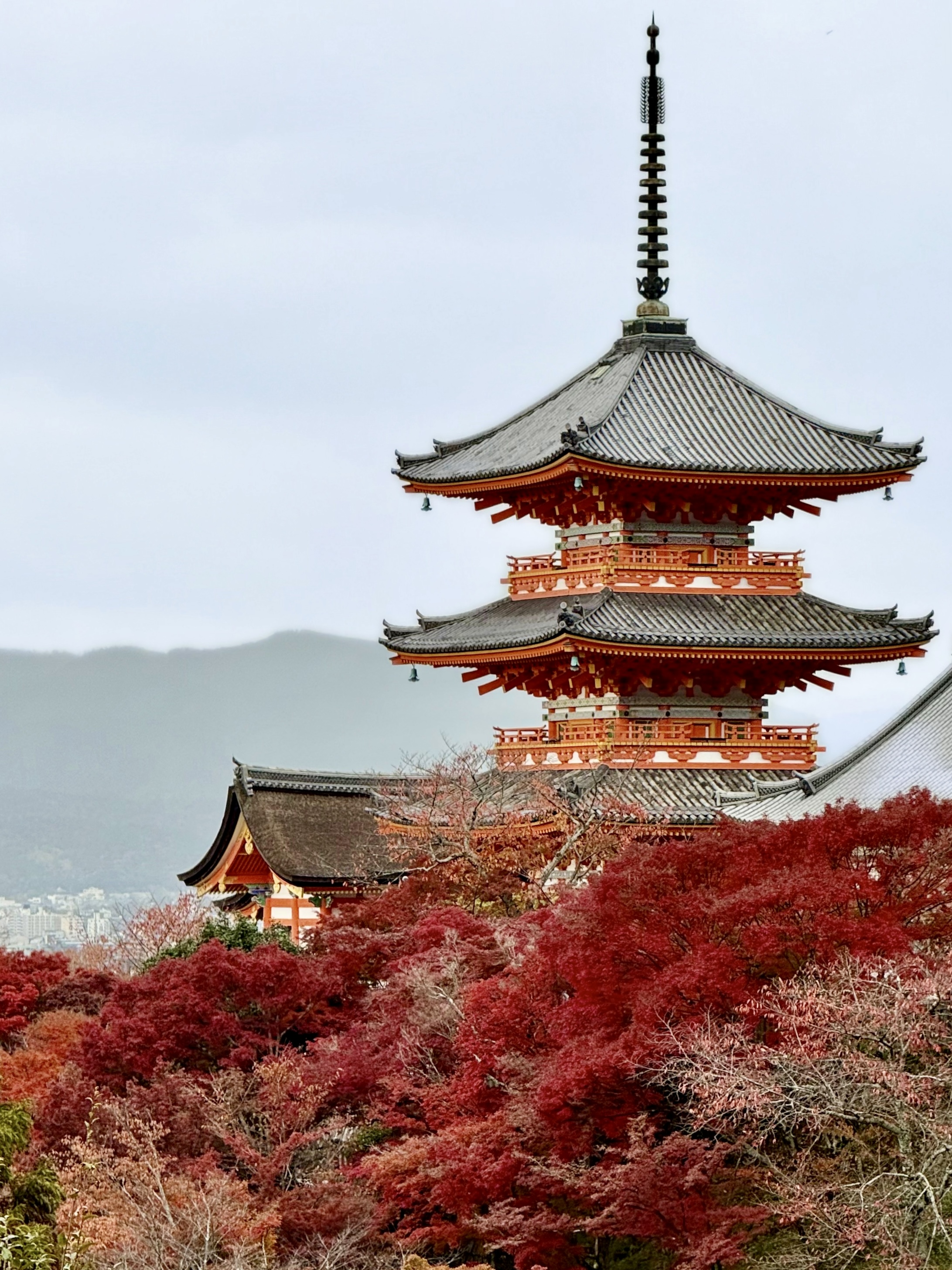 Япония: Путь за пределы (17/67)