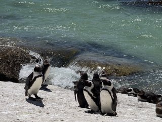 Юар: приключения на краю континента (4/35)