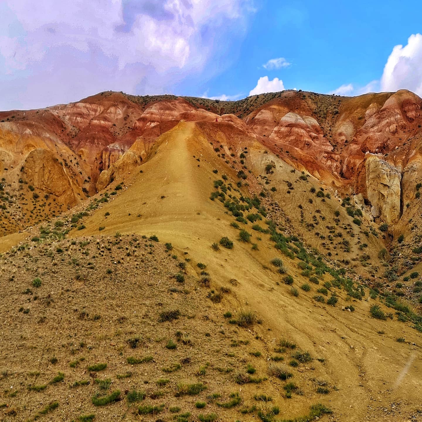 Весеннее волшебство Алтая. Все самое лучшее за 6 дней. (7/41)