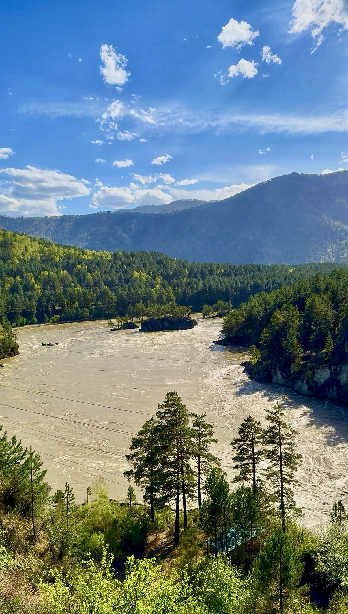 Весеннее волшебство Алтая. Все самое лучшее за 6 дней. (13/41)