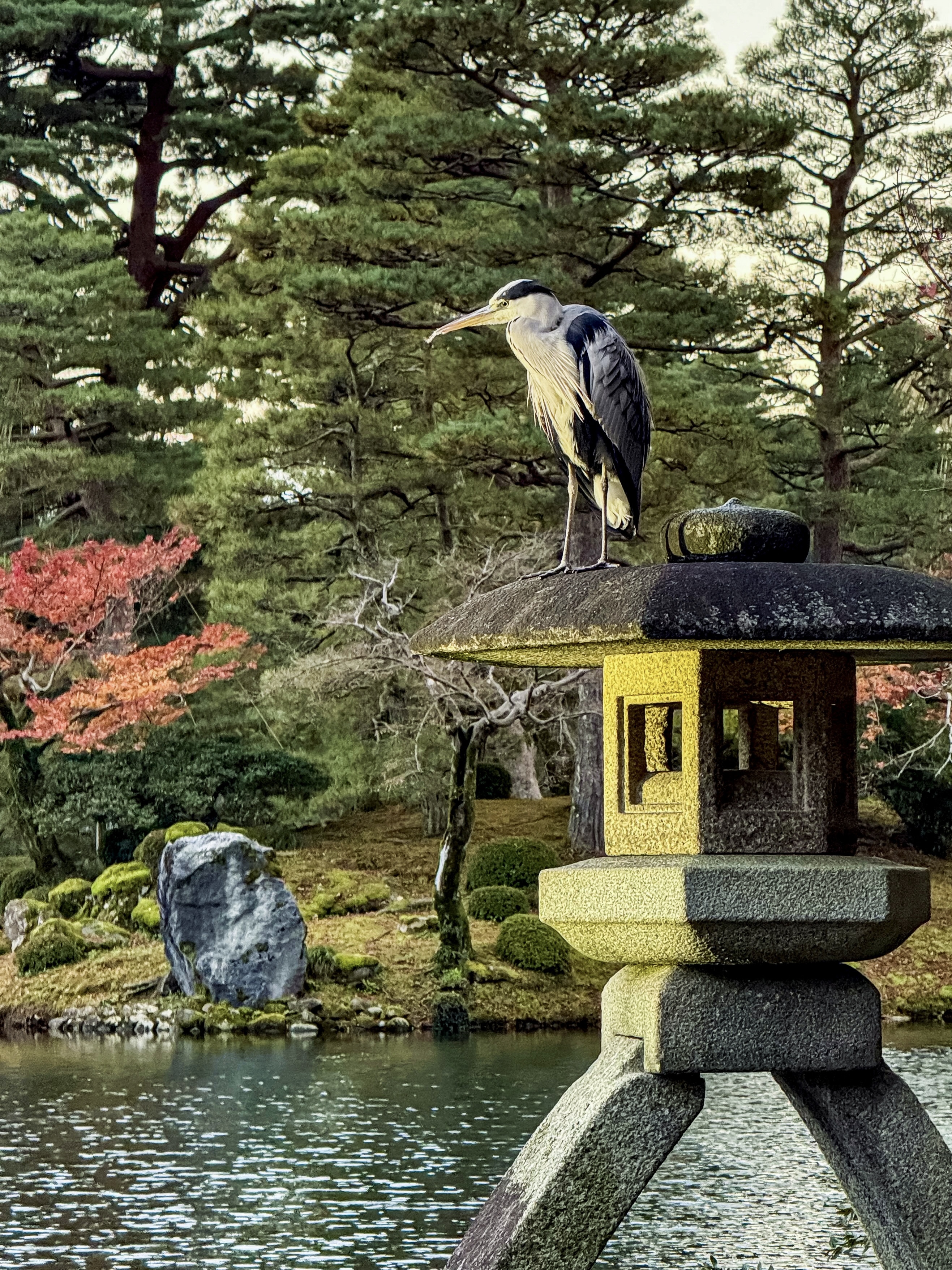 Япония: Путь за пределы (27/67)