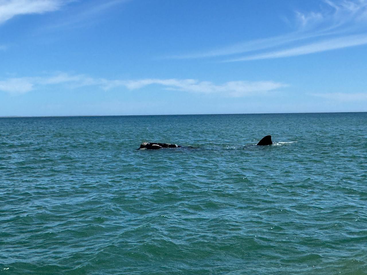 Юар: приключения на краю континента (11/35)