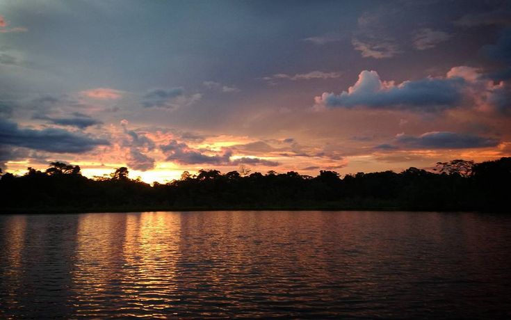 Amazon Adventure in Yasun  7 Days (10/19)