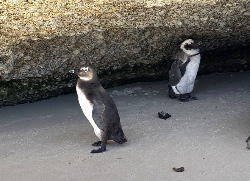 Юар: приключения на краю континента (2/35)