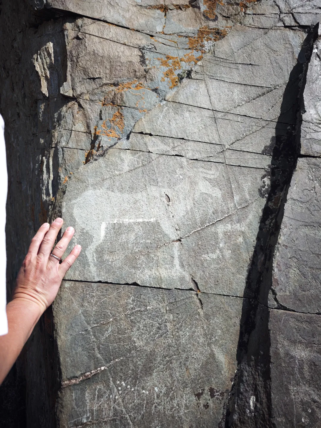 Комфортный джиппинг на плато Укок. Легендарная Принцесса Алтая (5/46)